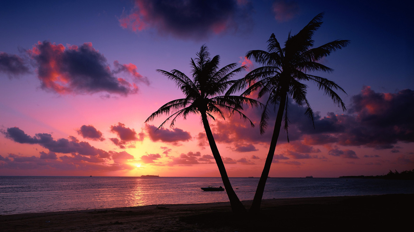 Sunset on a tropical beach wallpaper 6856 1366x768