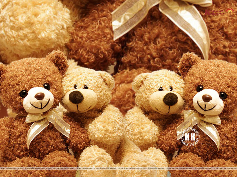  Teddy Bear Colour wallpapers Teddy Bear download desktop Cute Teddy 800x600