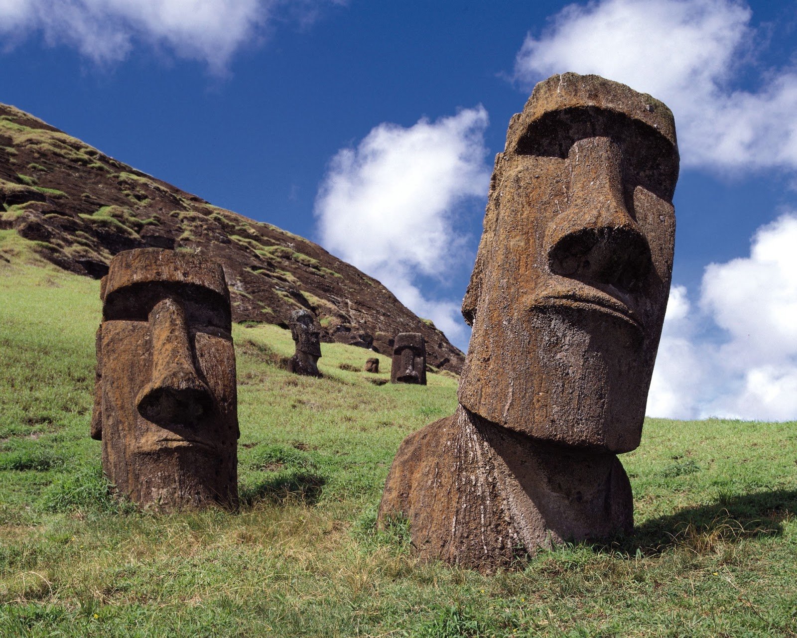Easter Island How did the Moai Move 1600x1281