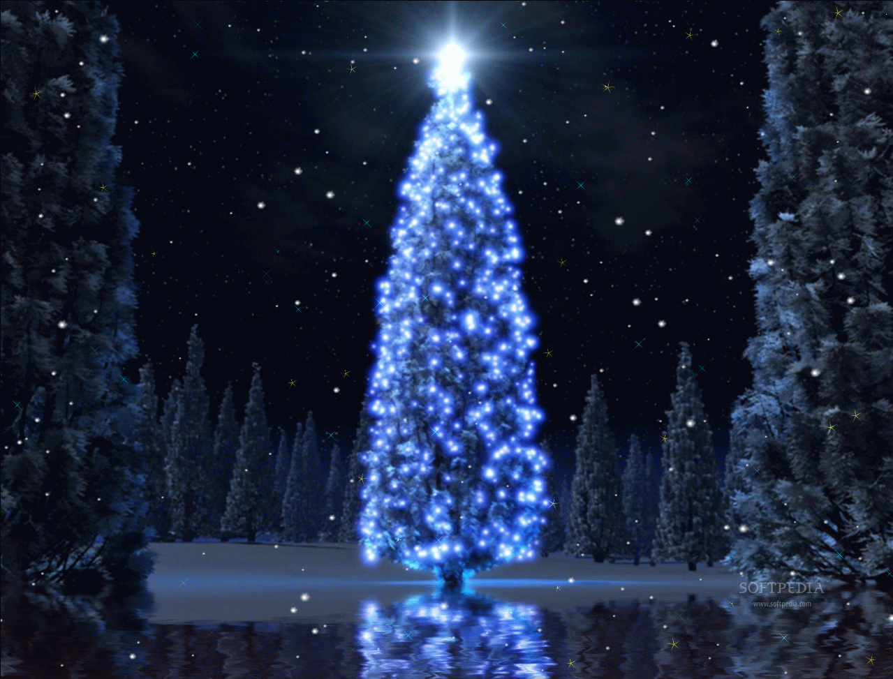 Christmas Tree Animated Wallpaper   This wallpaper will display an 1279x973