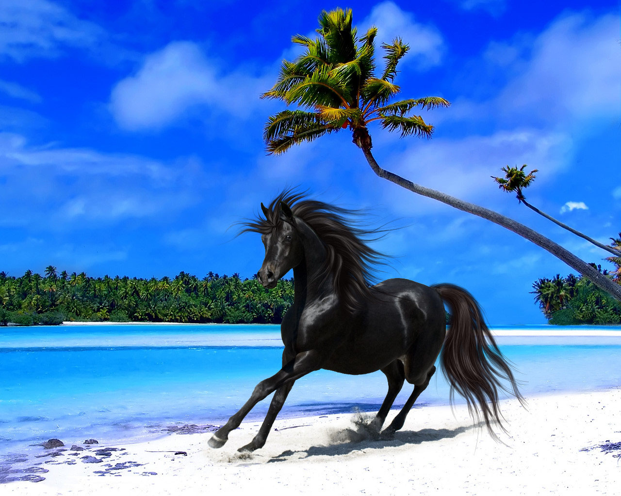 tropical island wallpapers Archives   WordPress Aisle 1280x1024