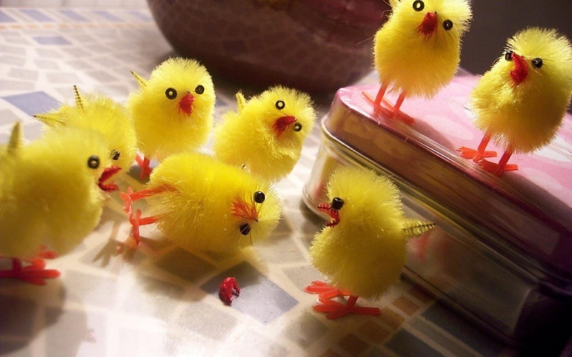 chicks birds cute toys chickens easter humor wallpaper 1920x1200 1920x1200