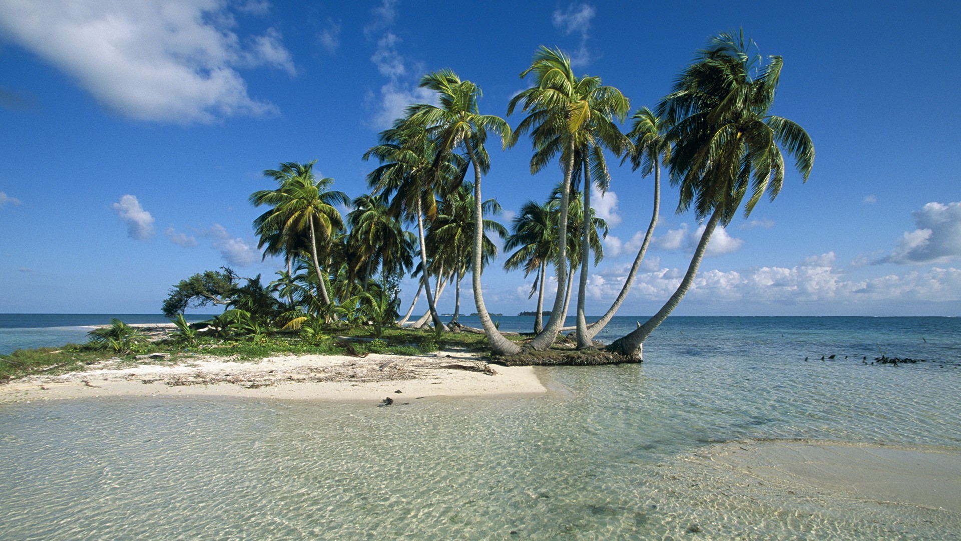 Tropical Beach Backgrounds 17332 Wallpaper Wallpaper hd 1920x1080