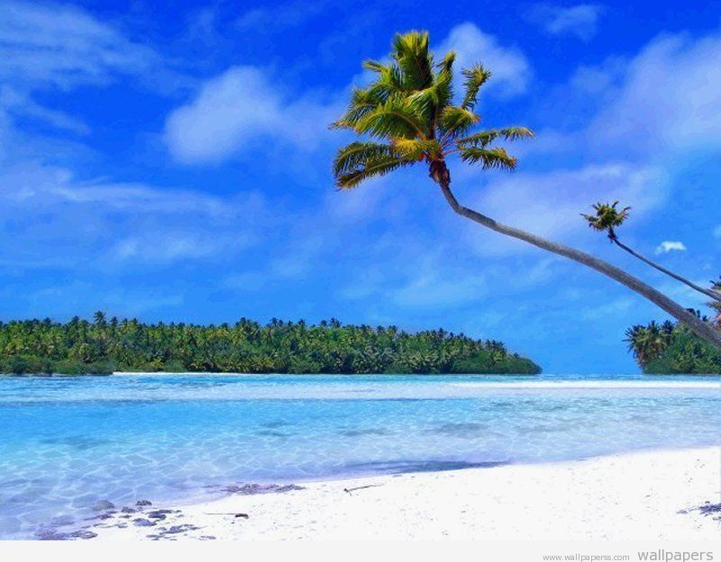 new beach pictures desktop beach wallpapers beach wallpaper beach 800x624