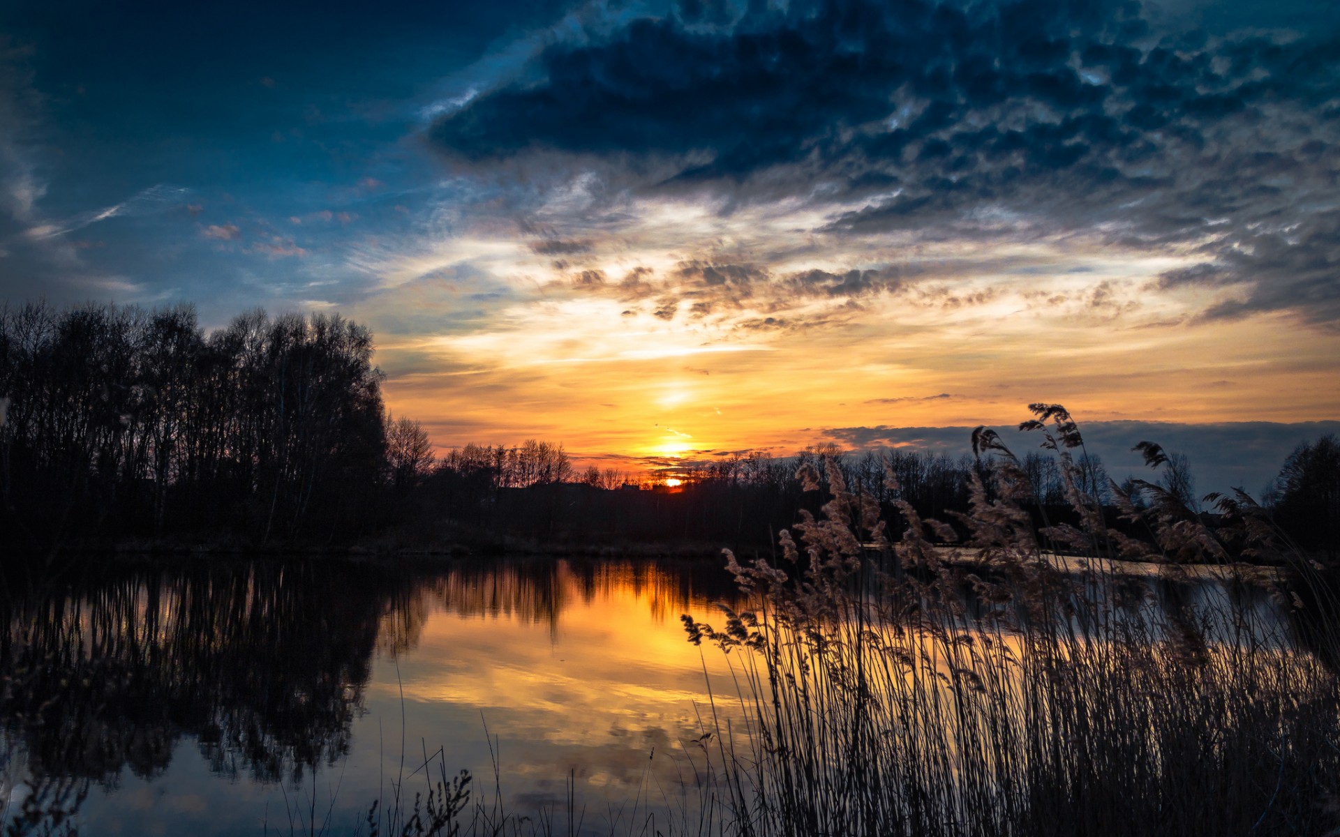 Sunset Lake Rushes HD Wallpapers 1920x1200