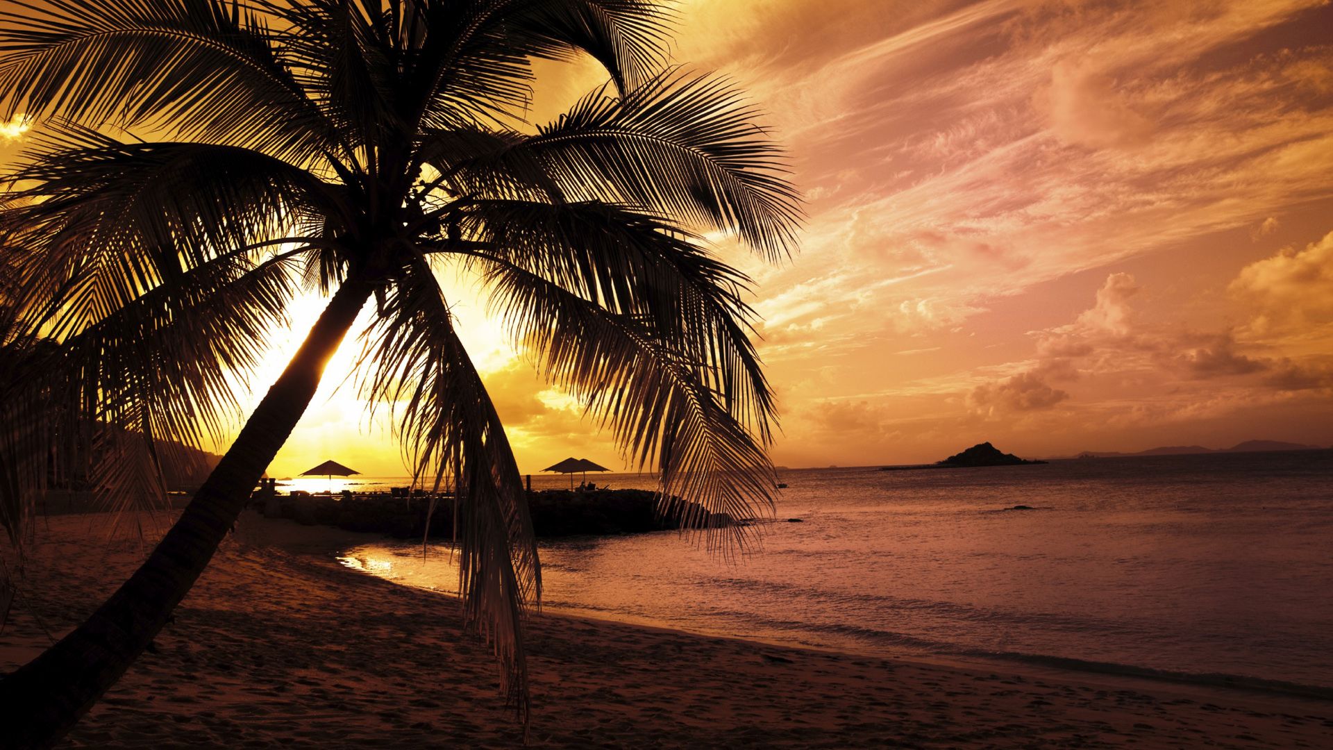 Tropical beach scenery at night Wallpapers 1920x1080