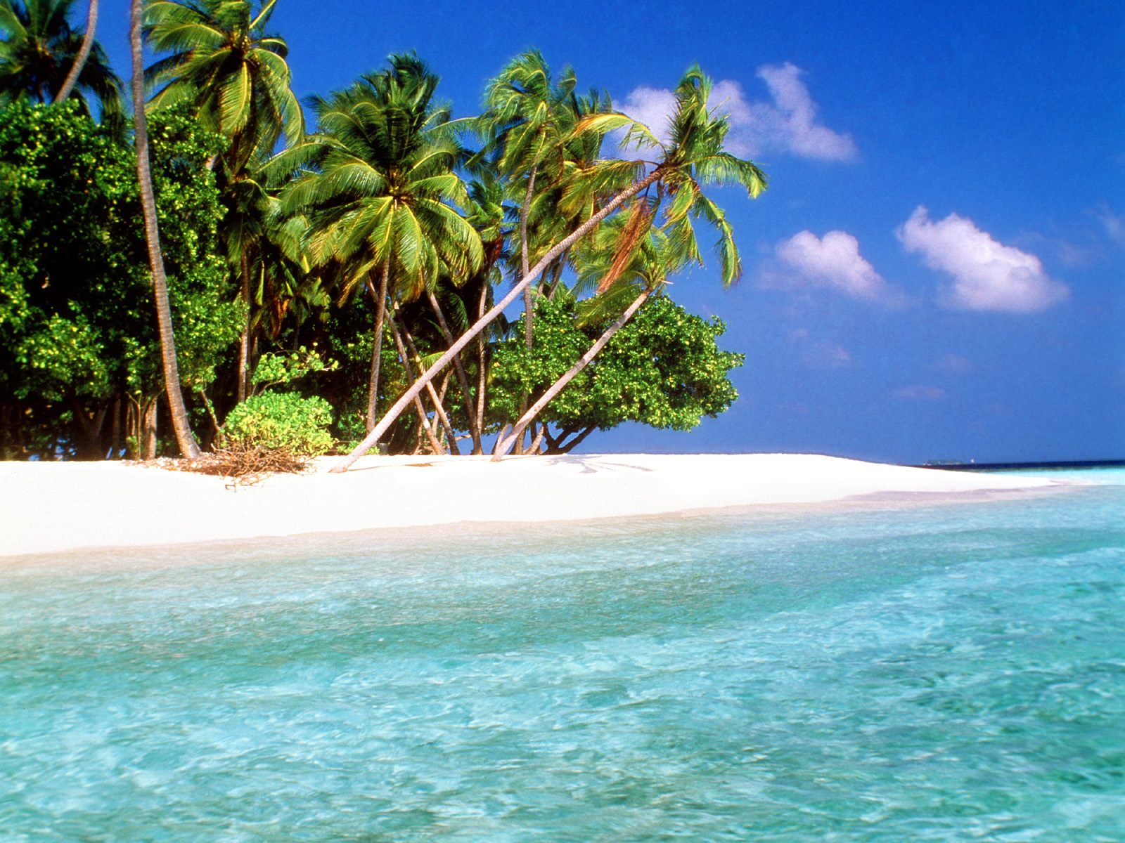 World Visits Tropical Island Beach Wallpaper Review 1600x1200