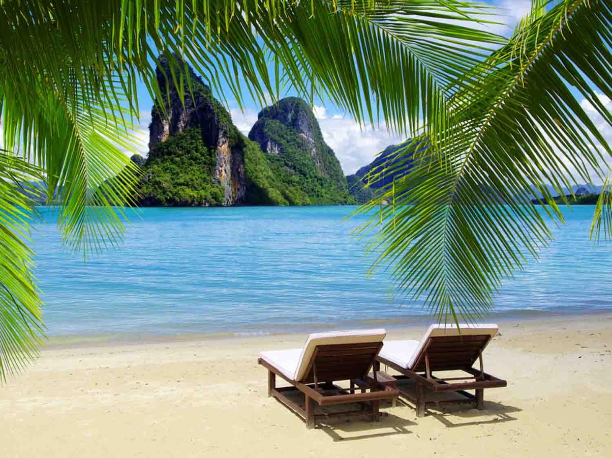 Tropical Island Wallpaper   Android Apps on Google Play 1204x900