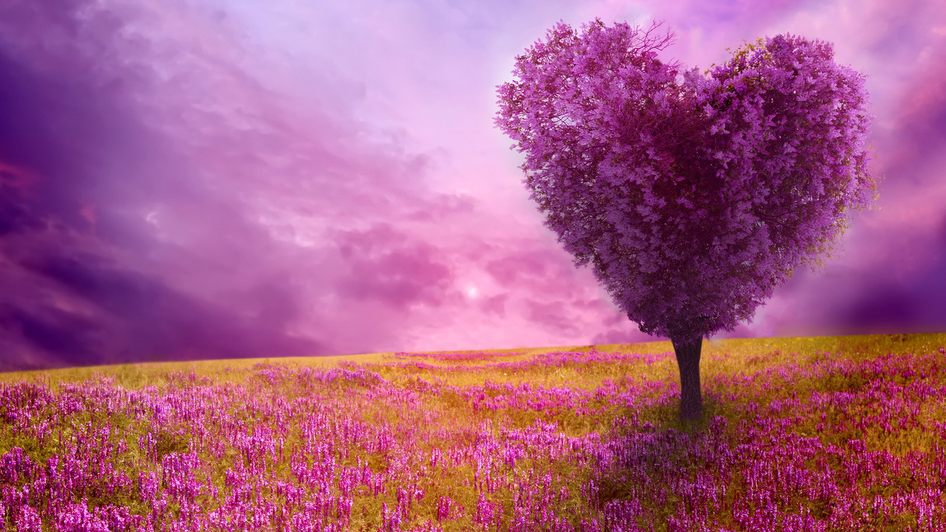 Spring nature background 1920x1080