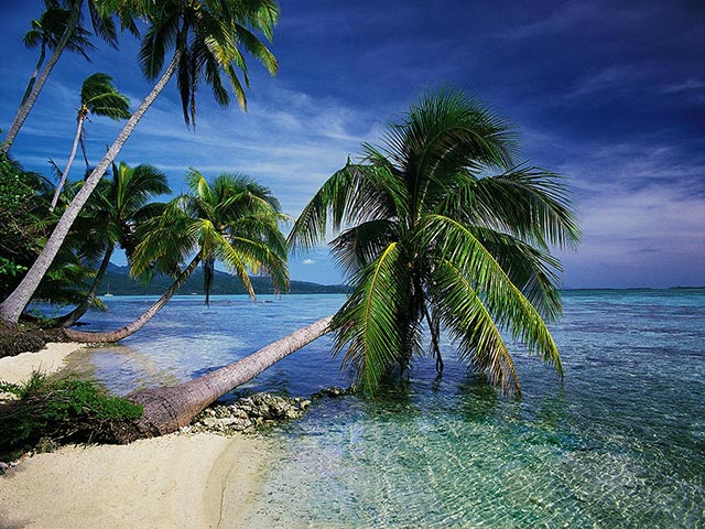 dart tropical islands vol  desktop screen savers 62jpeg 640x480