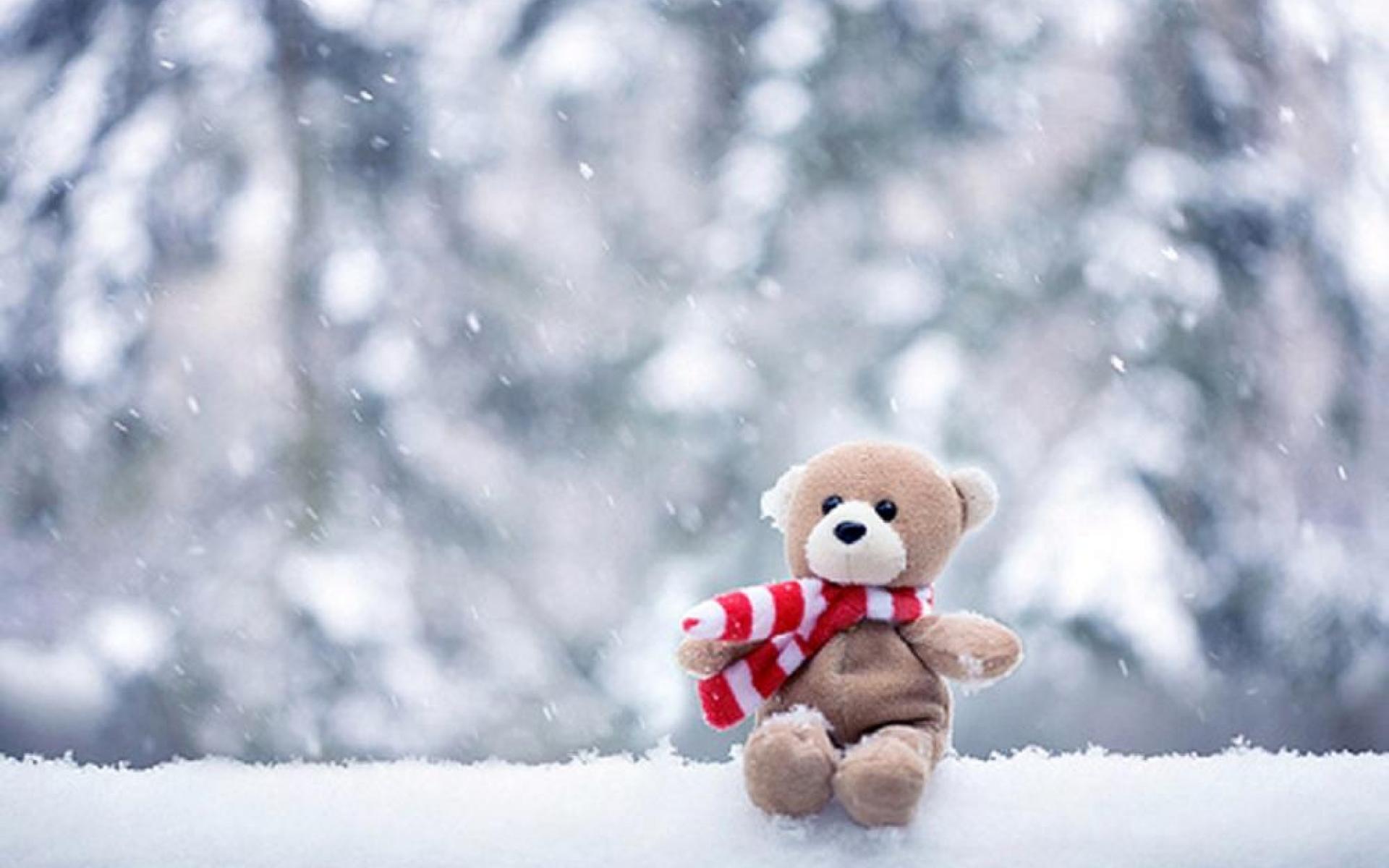 Winter Pic   Wallpaper High Definition High Quality 1920x1200