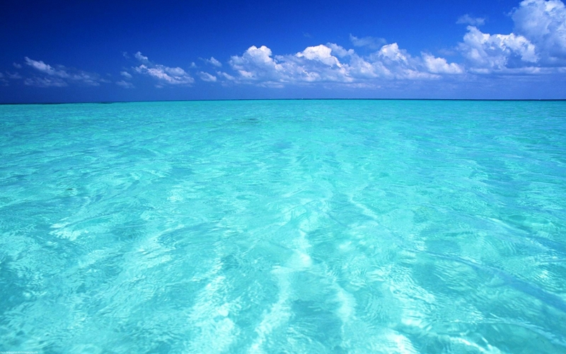 blue ocean seascapes 1920x1200 wallpaper Nature Oceans HD Desktop 800x500