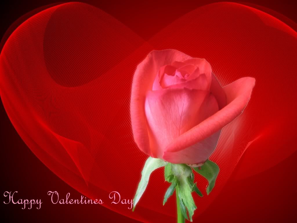 Cute Valentines Day Wallpaper 9810 Hd Wallpapers in Cute   Imagesci 1024x768