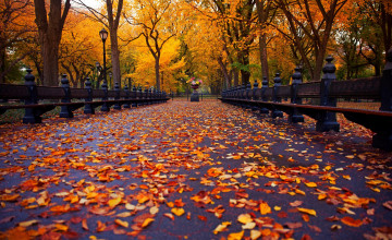 Autumn in NYC Wallpaper