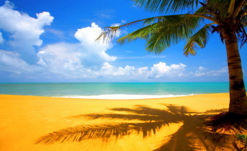 Beach Backgrounds for Wallpaper