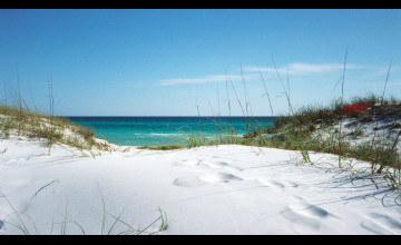 Florida Beach Desktop Wallpaper