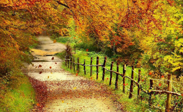 Free Desktop Wallpaper Autumn Scenery