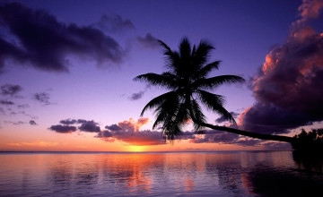 Free Sunset Tropical Island Wallpaper