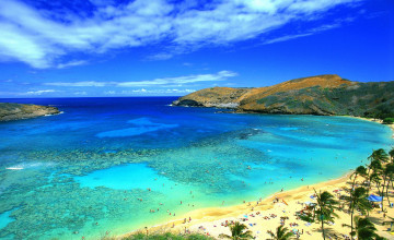 Hawaii Ocean Beach Wallpaper