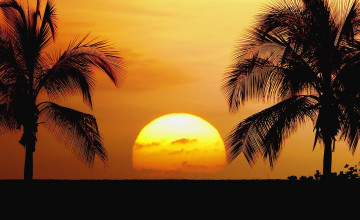 Sunset Hawaii Beach Wallpapers