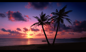 Tropical Beach Sunset Wallpaper