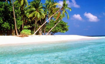 Tropical Island Wallpaper