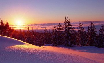 Winter Sunset HD Wallpaper