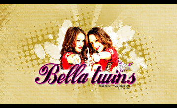 WWE The Bella Twins Wallpaper